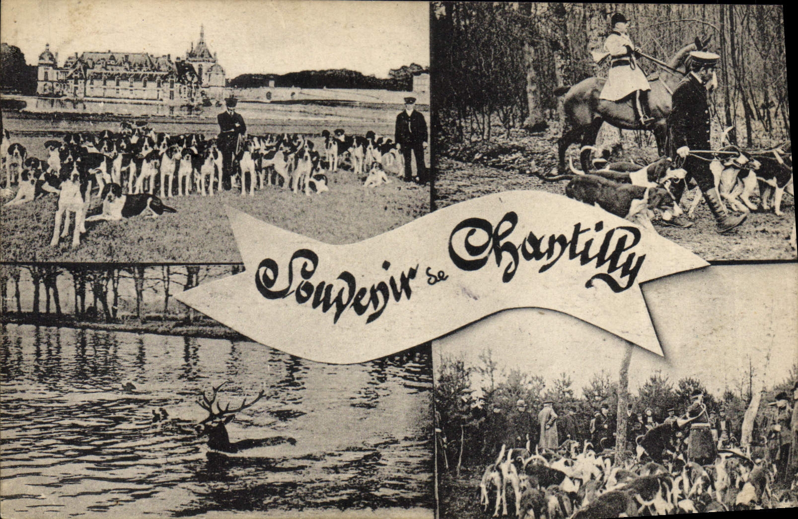 CPA Chasse a courre Chantilly Chiens Chien