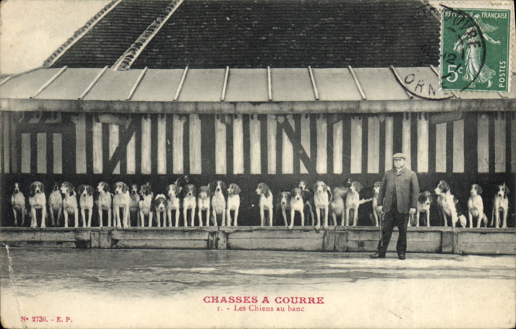 CPA Chasse a courre Les chiens au banc