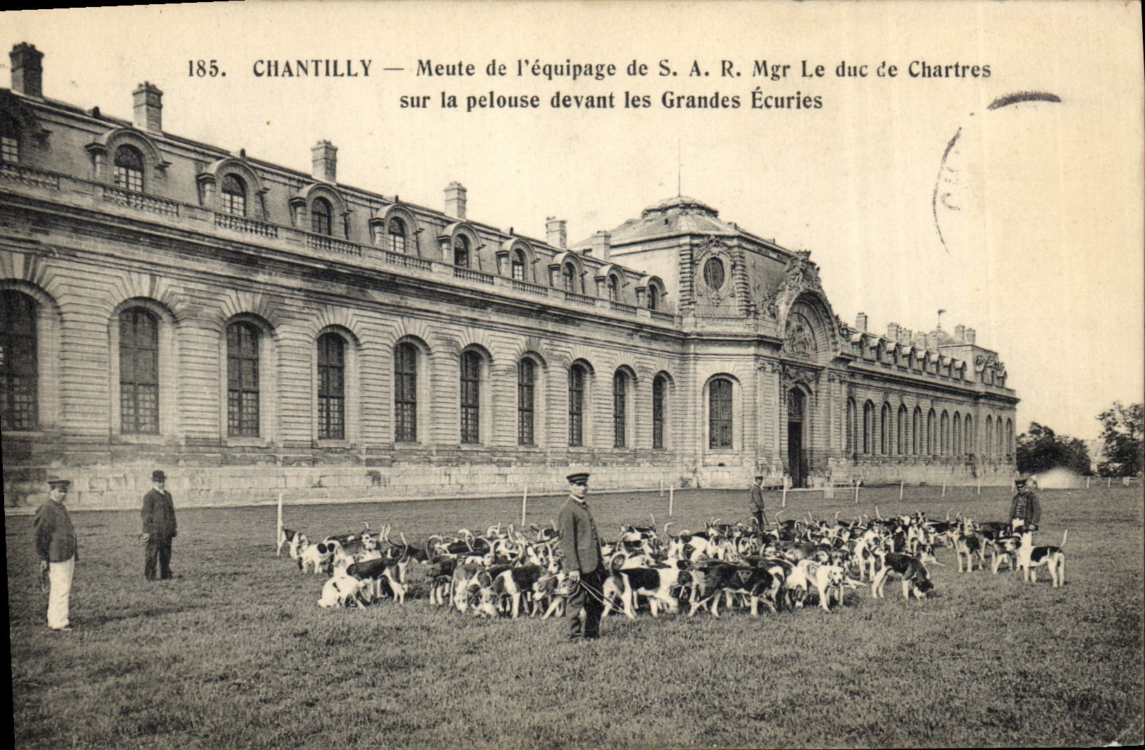 Vintage Postcard Chasse has courre Chantilly Meute of the crew of SAR Mgr the Duke of Chartres on the lawn in front of the stables Chiens Dog