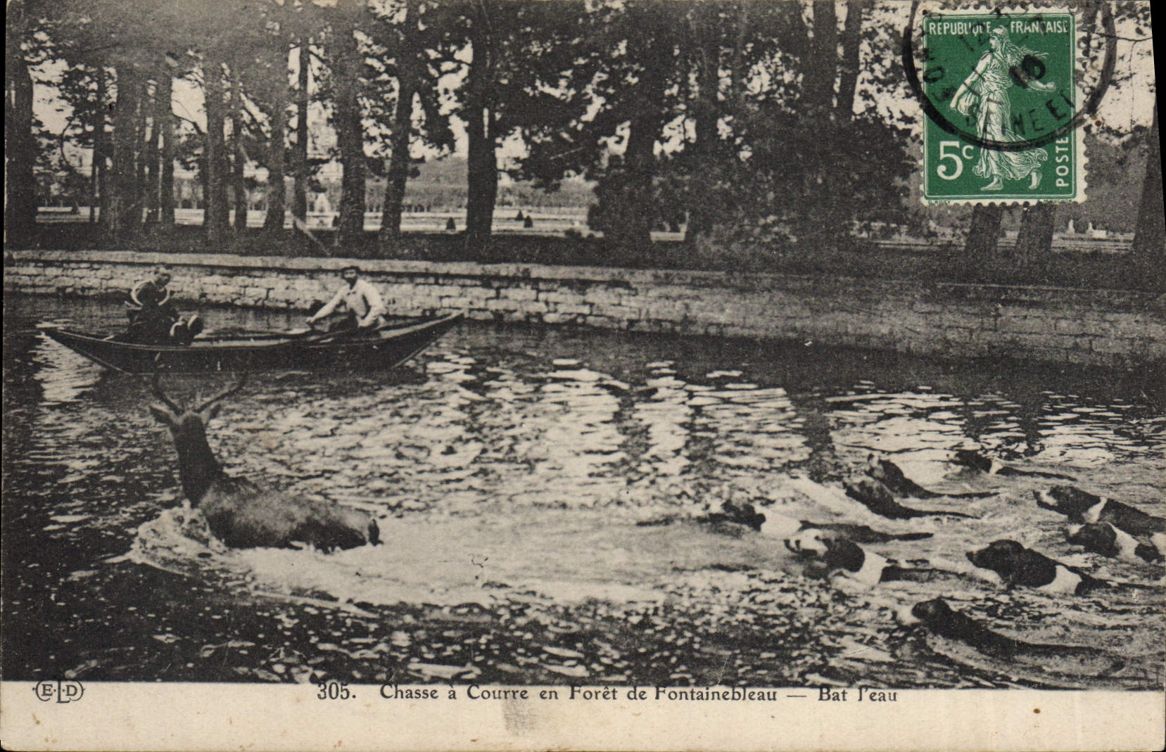 CPA Chasse a courre en foret de Fontainebleau Bat l'eau Chiens Chien