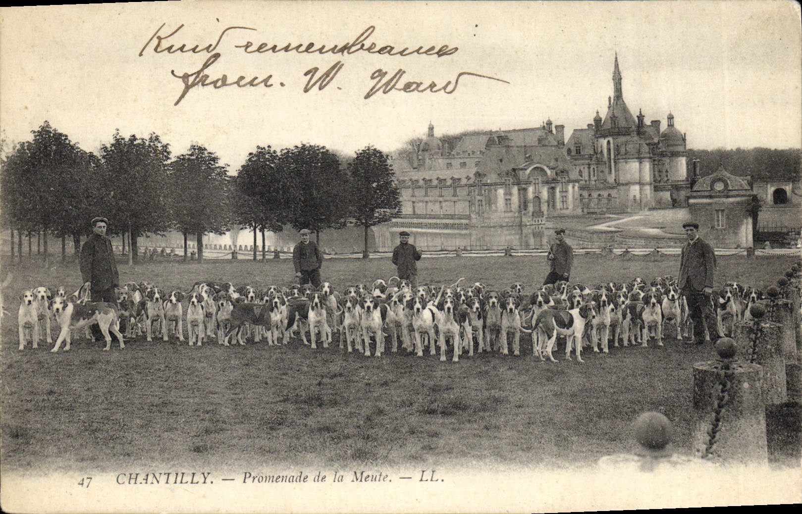 CPA Chasse a courre Chantilly Promenade de la meute Chiens Chien