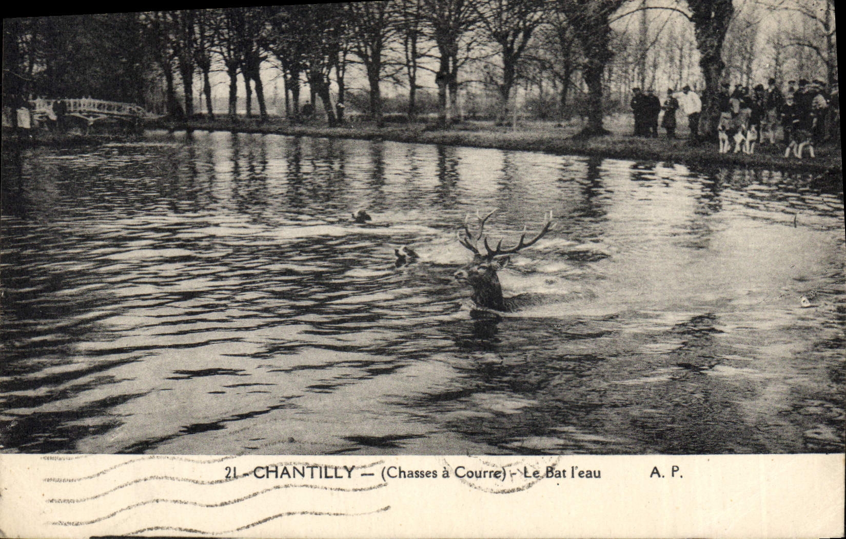 Vintage Postcard Chasse has courre Chantilly beats It water Chiens Dog
