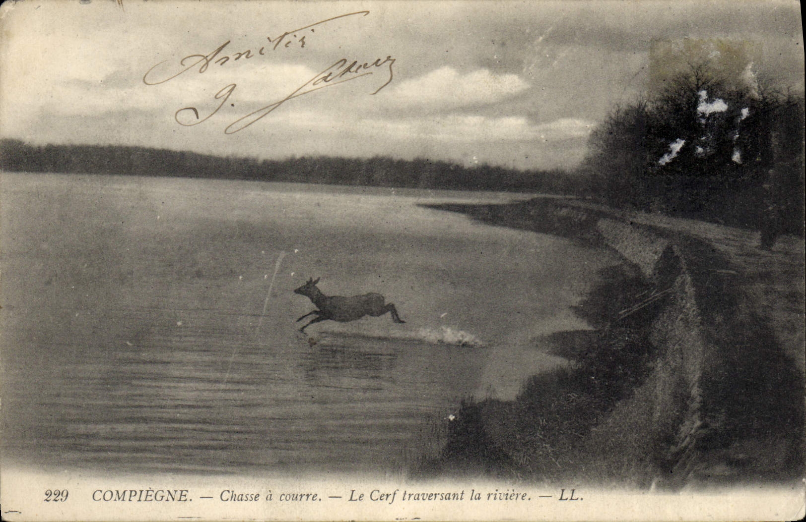 CPA Chasse a courre Compiegne Le cerf traversant la riviere