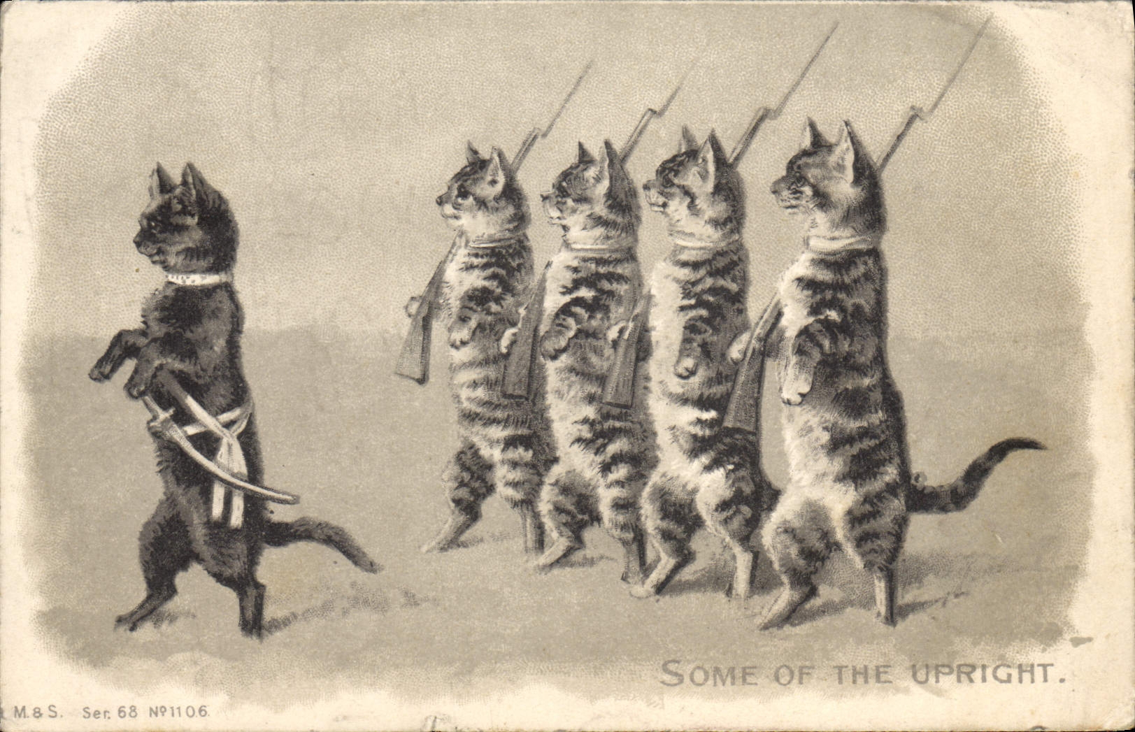 CPA Chats chat Chaton Some of the upright Militaria