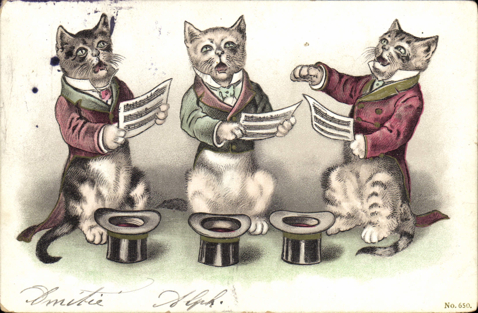 CPA Chats chat Chaton 