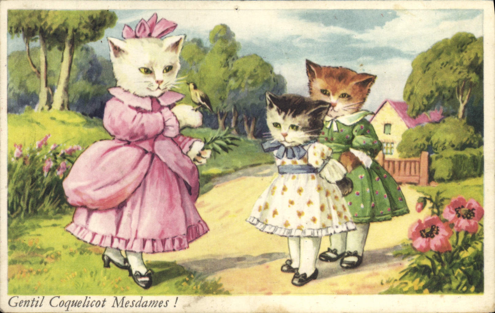 CPA Chats Chat Chaton Gentil coquelicot Mesdames