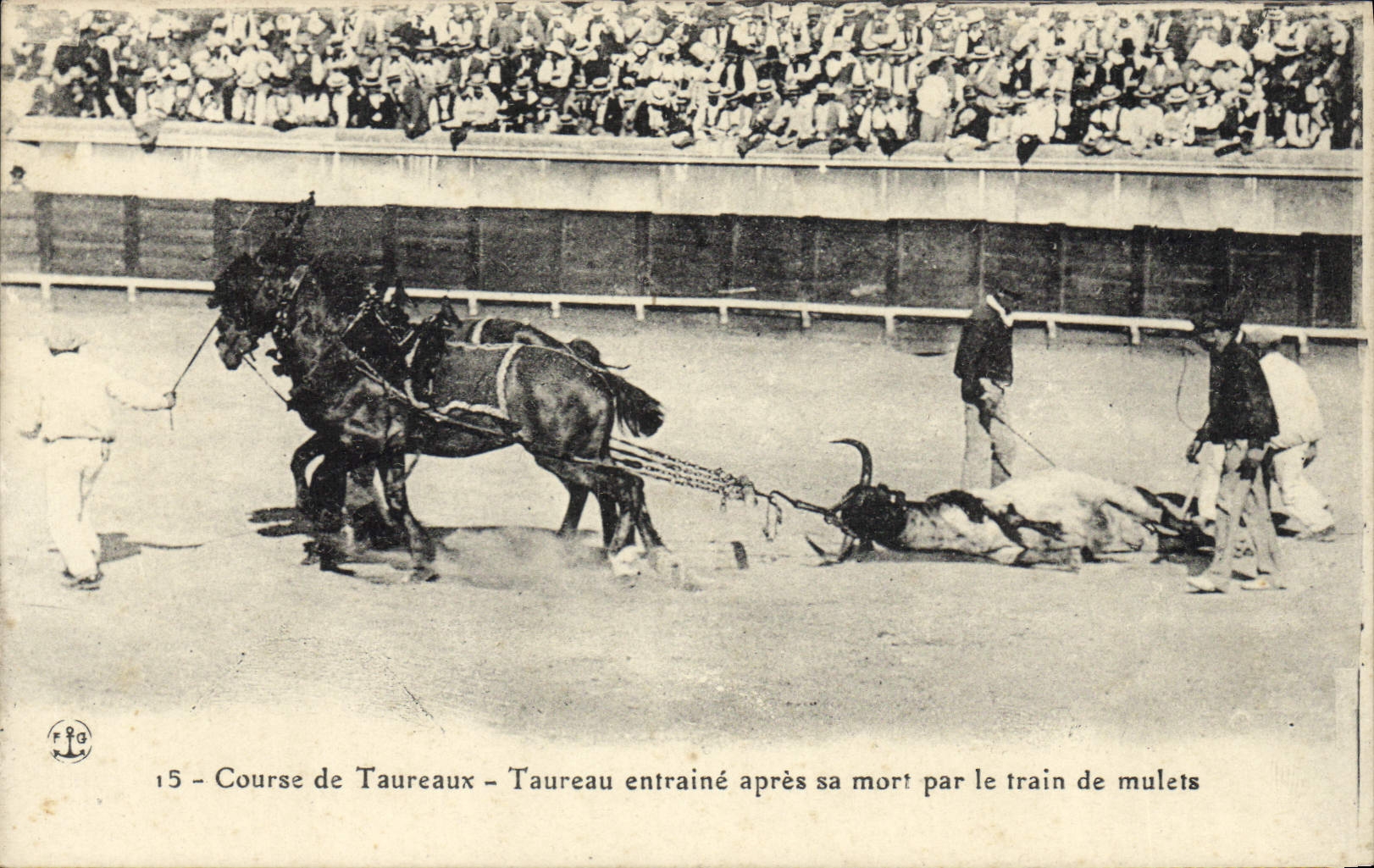 CPA Corrida Course de taureaux Taureau entraine apres sa mort par le train de mulets
