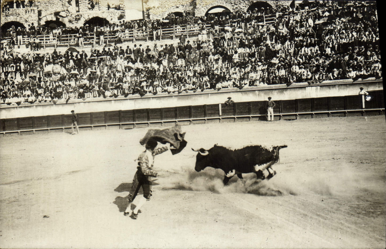 CARTE PHOTO Corrida Course de taureaux Nimes