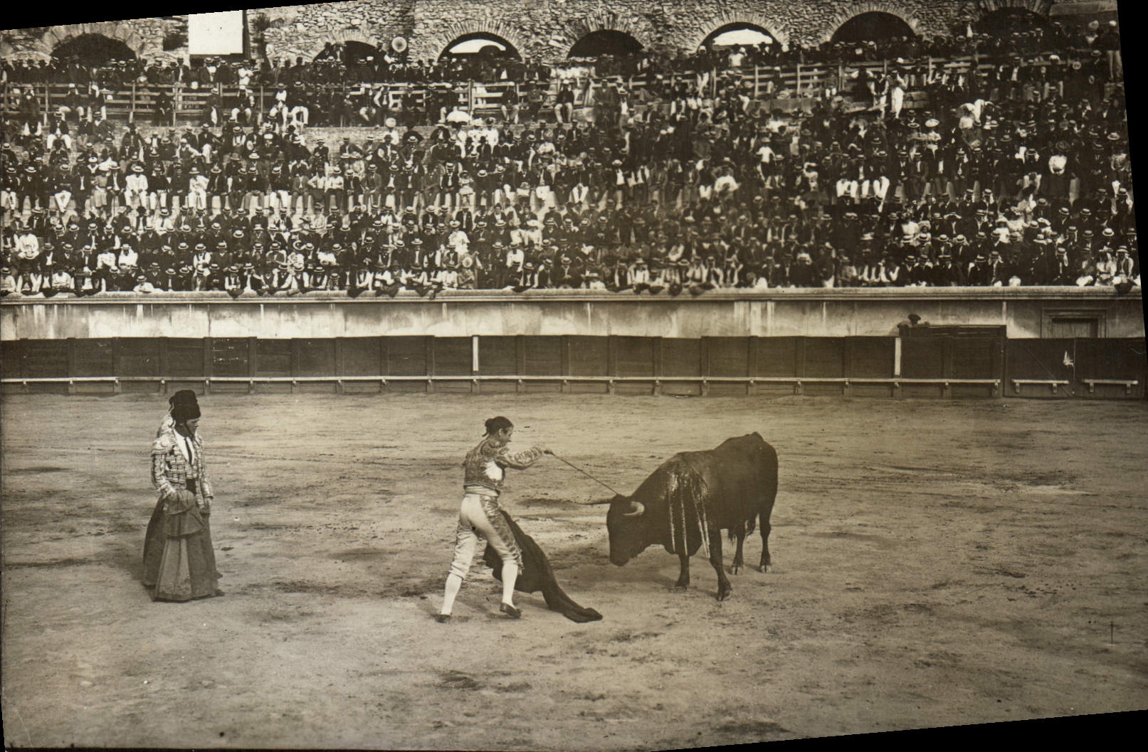 CARTE PHOTO Corrida Course de taureaux Nimes