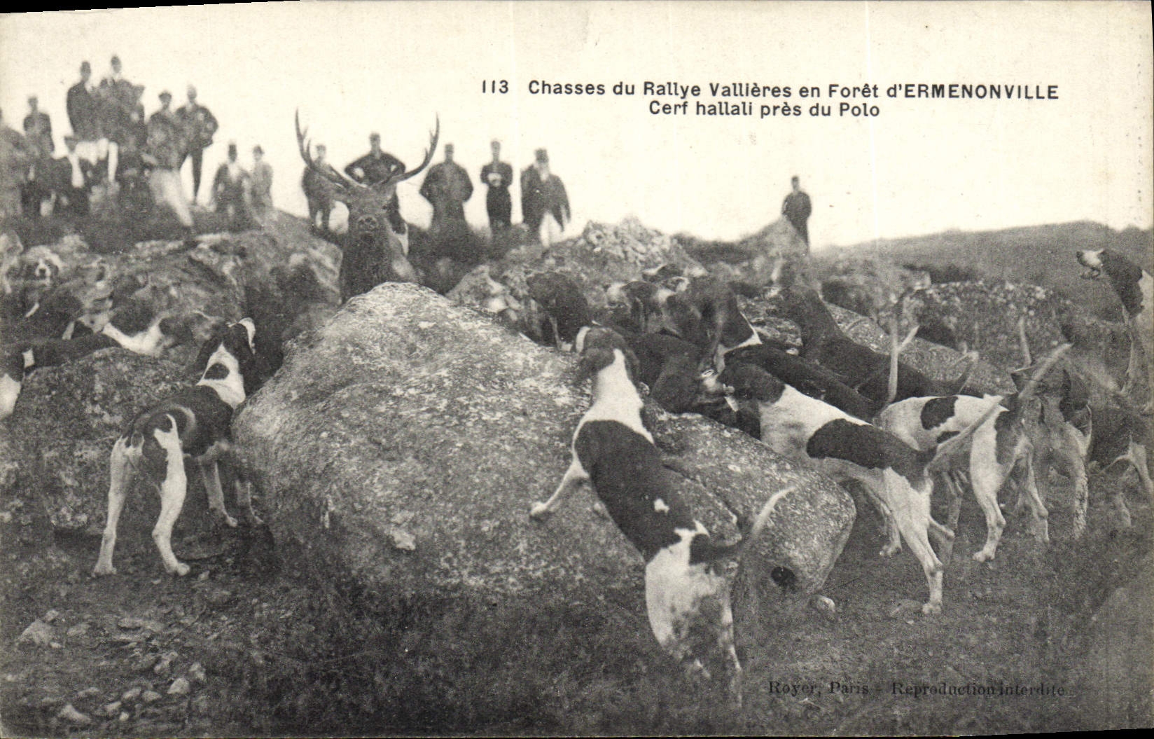 CPA Chasse a courre Chasses du rallye Vallieres en foret d'Ermenonville Cerf hallali pres du Polo Chiens Chien