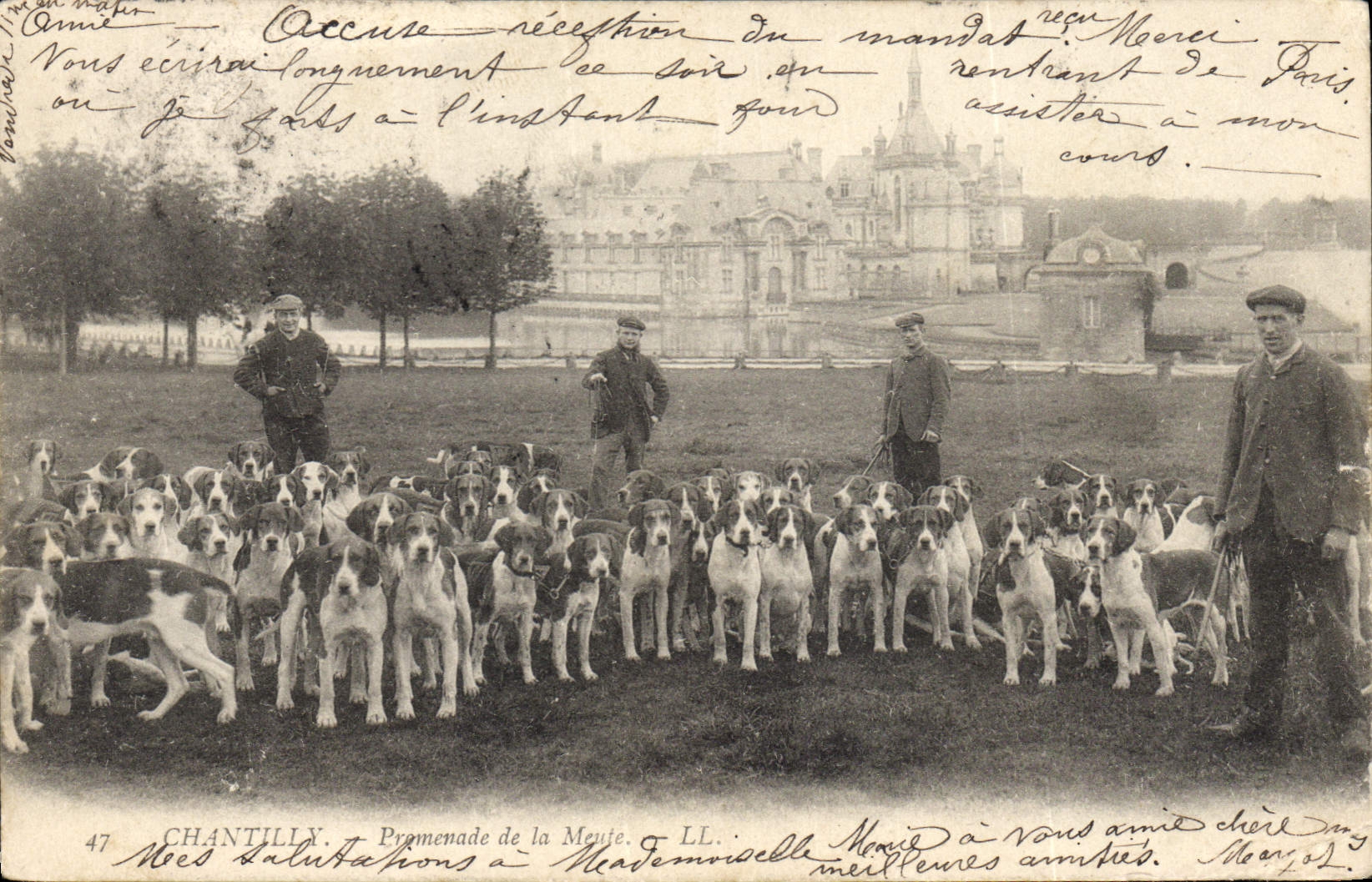 Vintage Postcard Chasse has courre chantilly Promenade of the pack Chiens Dog