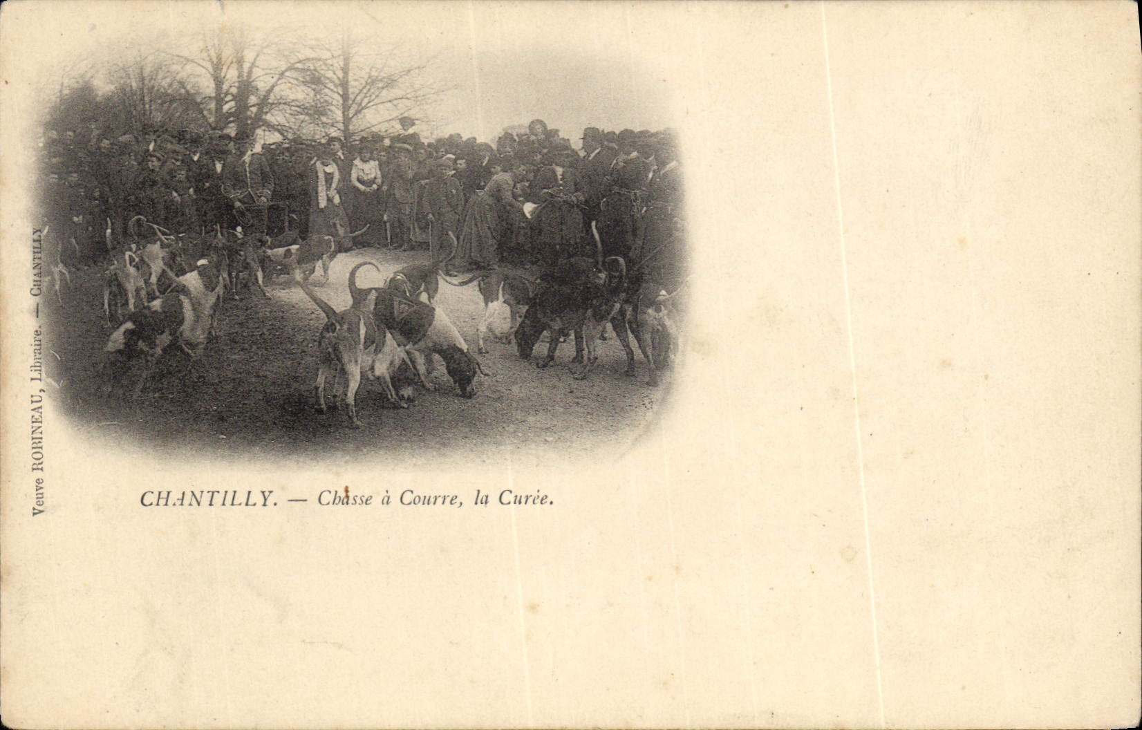 CPA Chasse a courre Chantilly La curee Chiens Chien