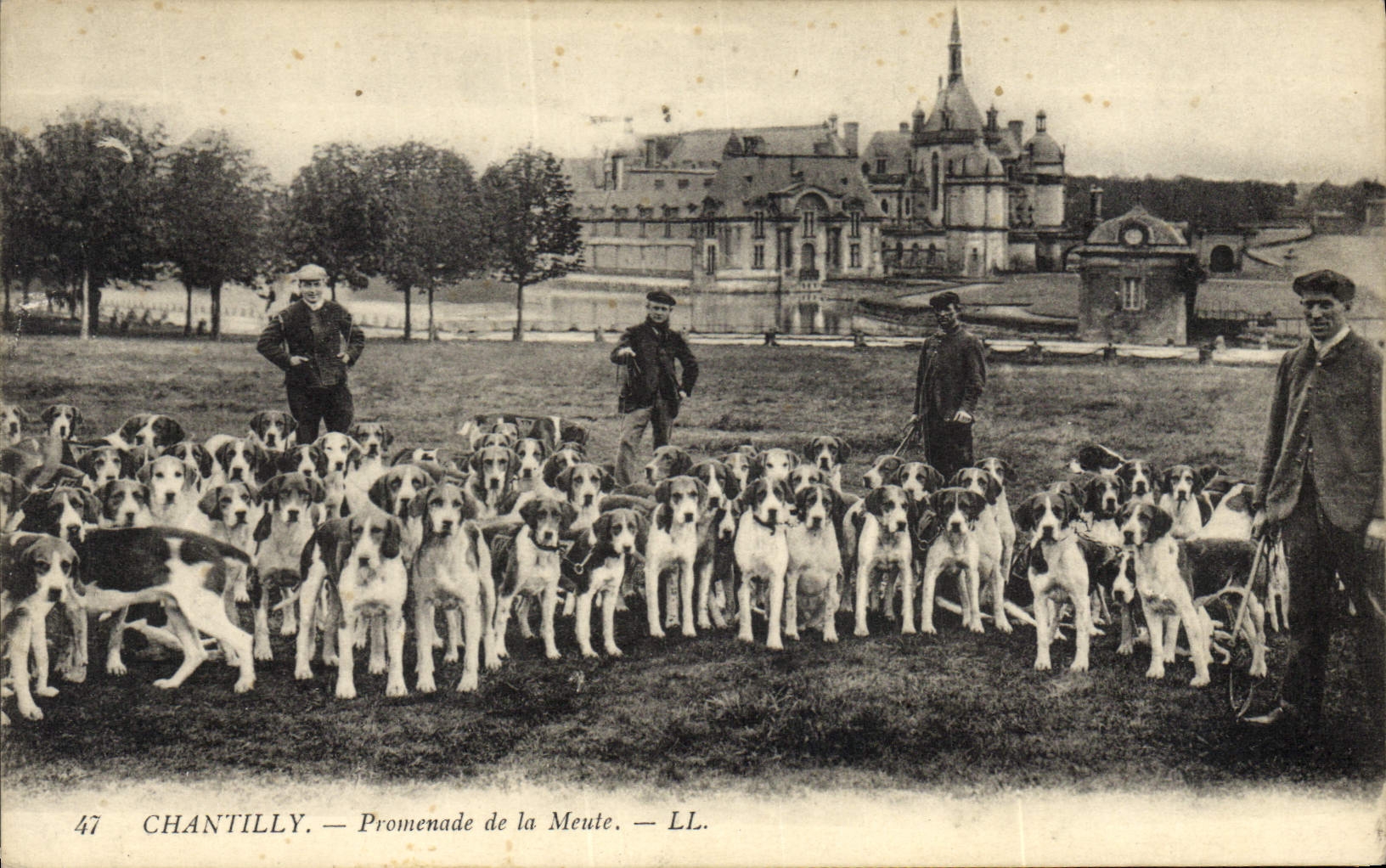 CPA Chasse a courre Chantilly Promenade de la meute Chiens Chien