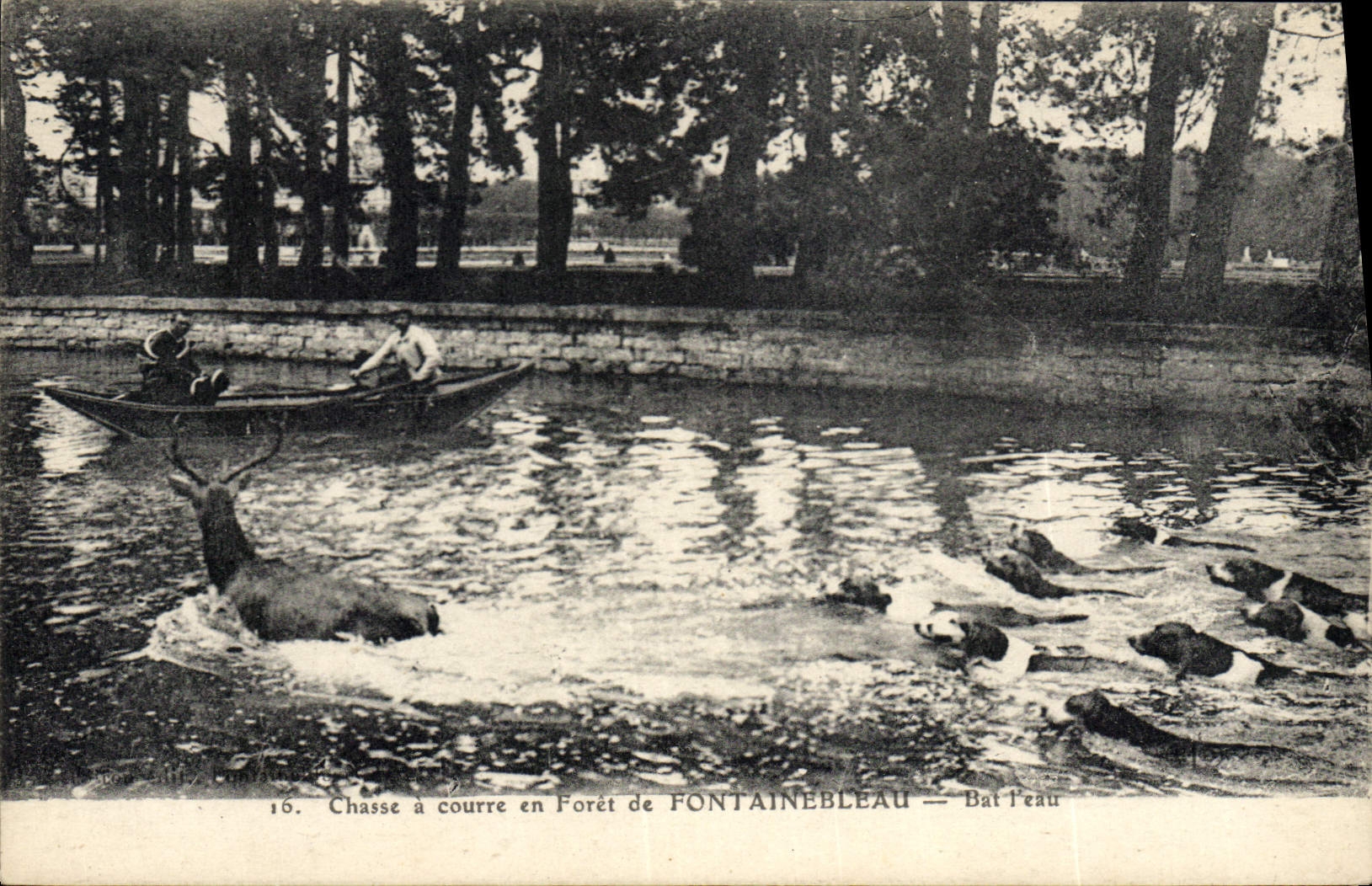 Vintage Postcard Chasse has courre out of Drill of Fontainebleau Bat water Chiens Dog
