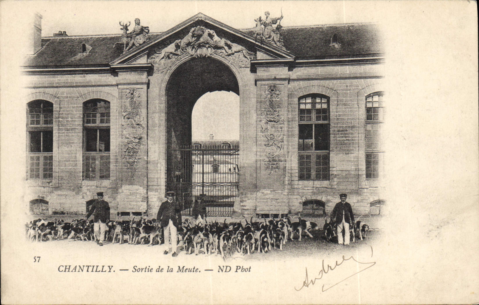 CPA Chasse a courre Chantilly Sortie de la meute Chiens Chien