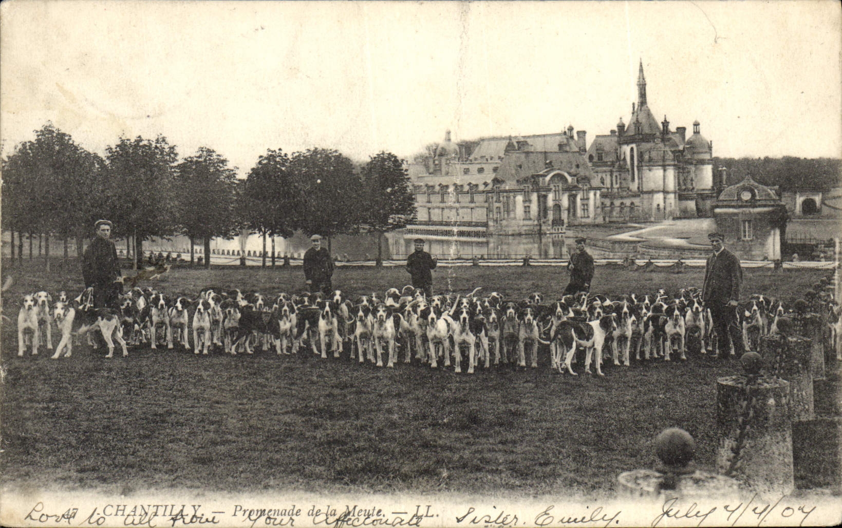 CPA Chasse a courre Chantilly Promenade de la meute Chiens Chien