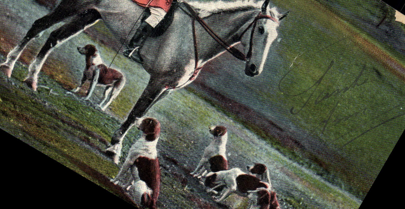 CPA Chasse a courre Cavalier Cheval Chiens Chien