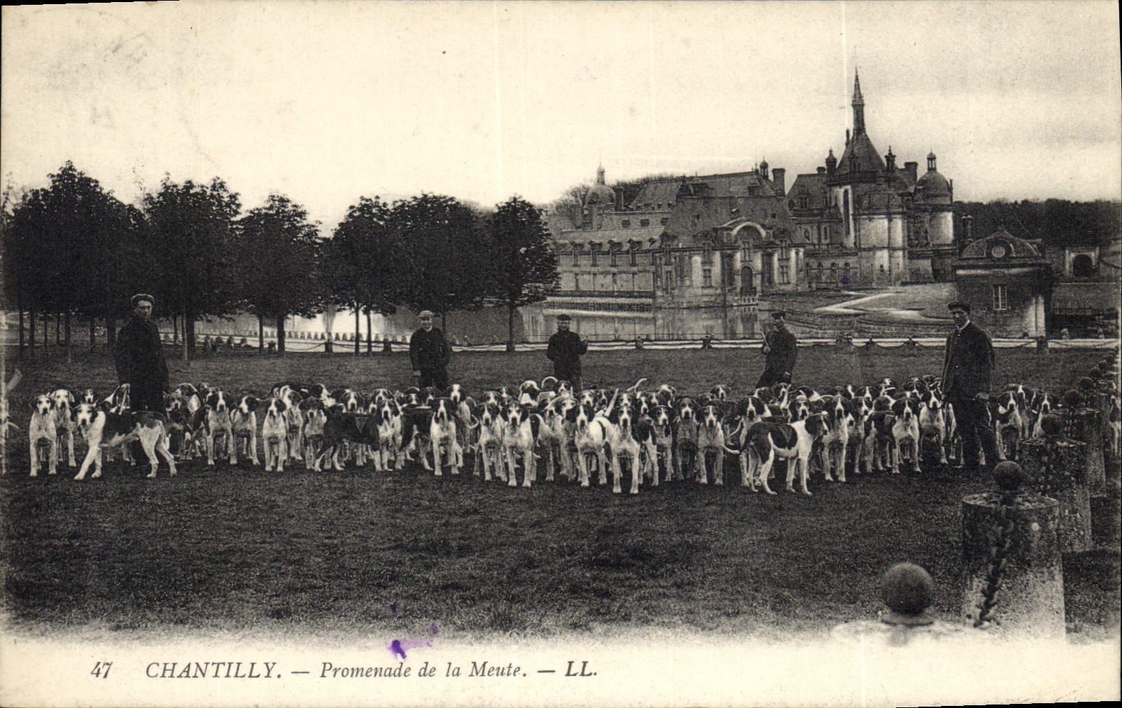 CPA Chasse a courre Chantilly Promenade de la meute Chiens Chien