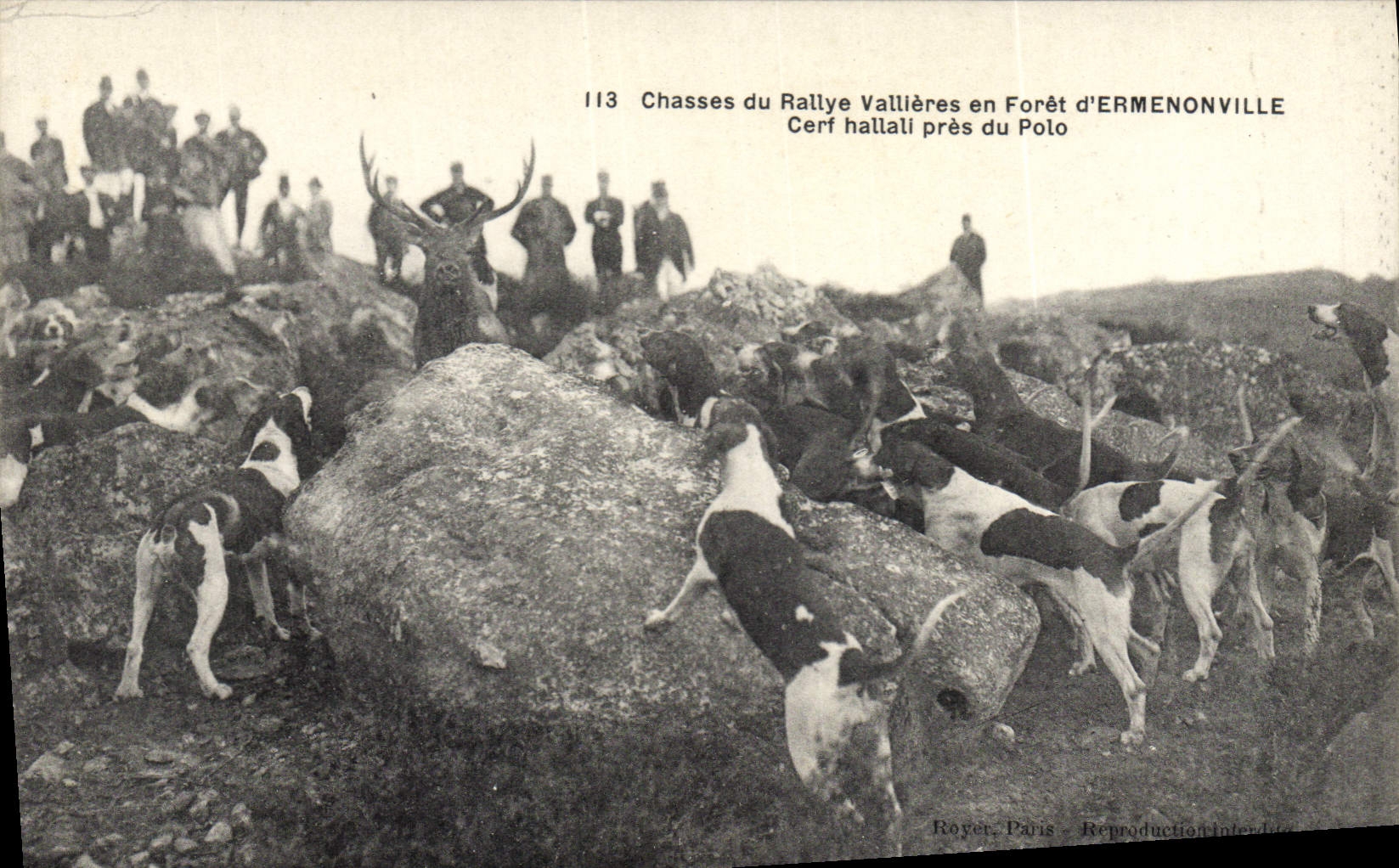 CPA Chasse a courre Chasses du rallye Vallieres en foret d'Ermenonville Cerf hallali pres du Polo Chiens Chien 