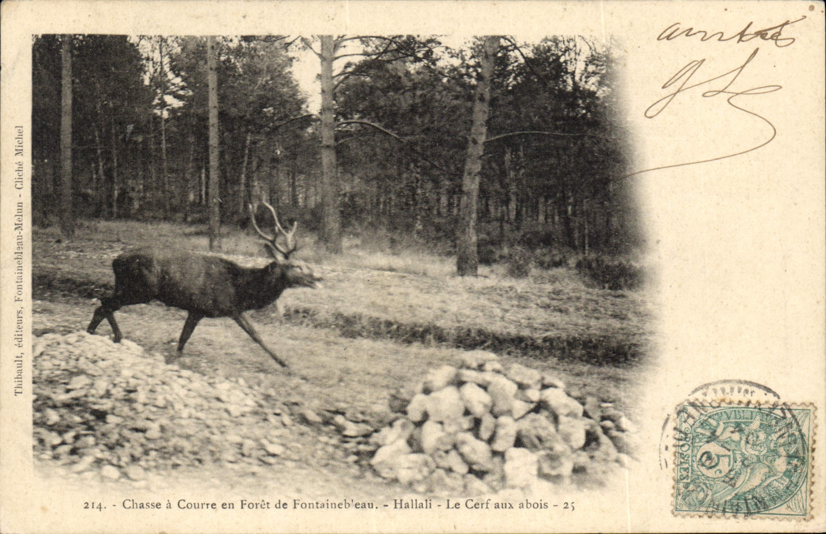 CPA Chasse a courre en Foret de Fontainebleau Le cerf aux abois