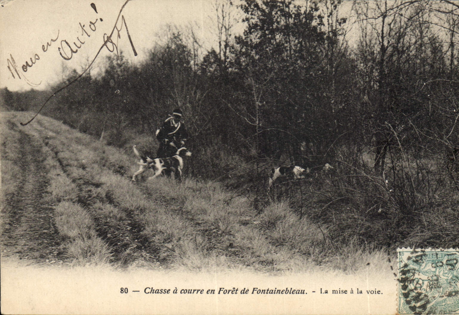 CPA Chasse a courre en Foret de Fontainebleau La mise a la voie Chiens Chien
