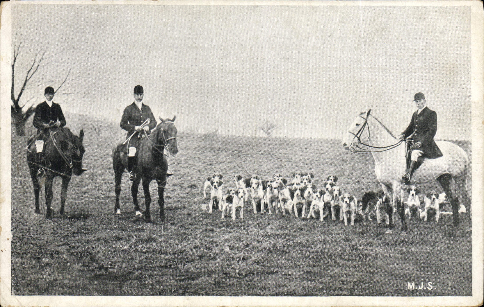 CPA Chasse a courre Chiens Chien 