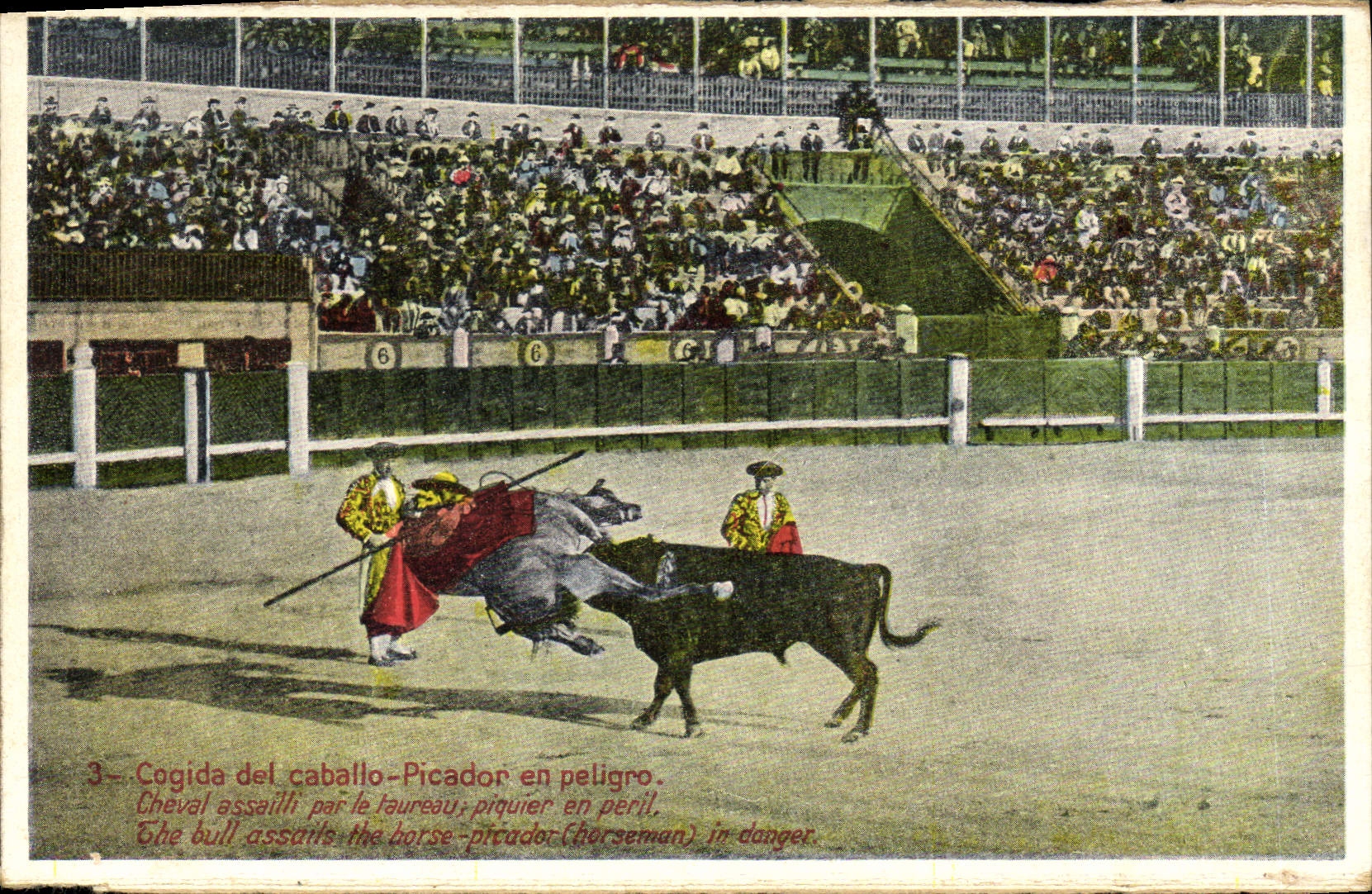 CPA Corrida Course de taureaux Cogida del caballo 
