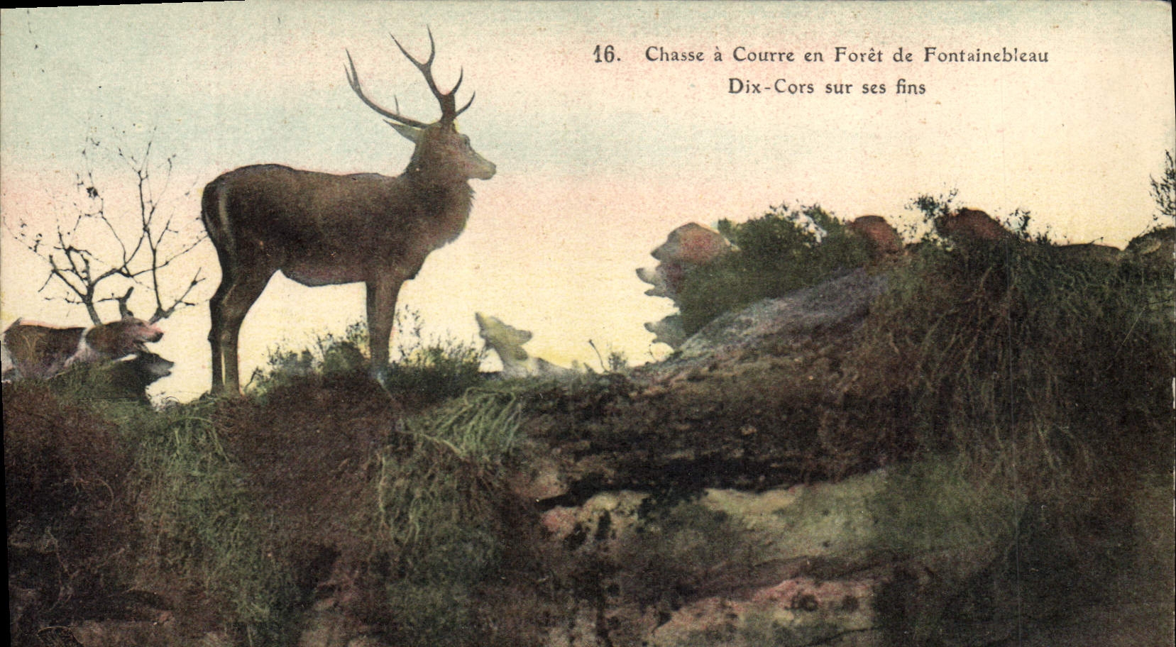 CPA Chasse a courre en Foret de Fontainebleau Dix Cors sur ses fins Cerf