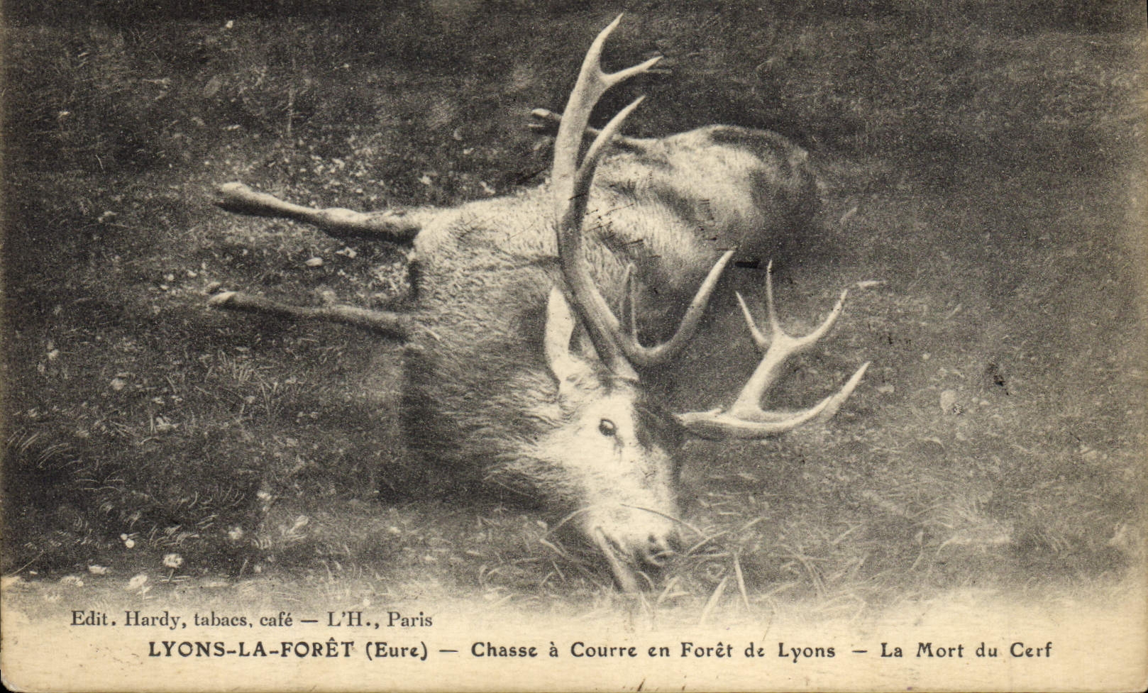 Vintage Postcard Chasse has courre out of Drill of Lyons the death of the Lyons stag the Drill