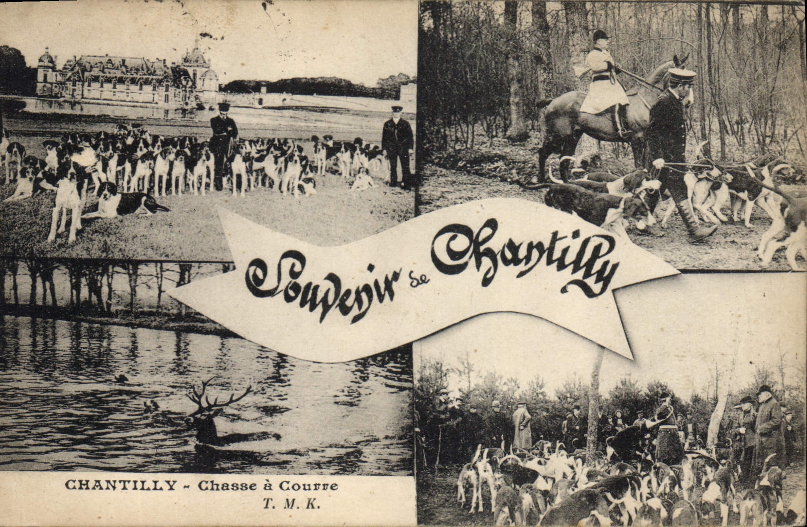 Vintage Postcard Chasse has courre Chantilly Chiens Dog