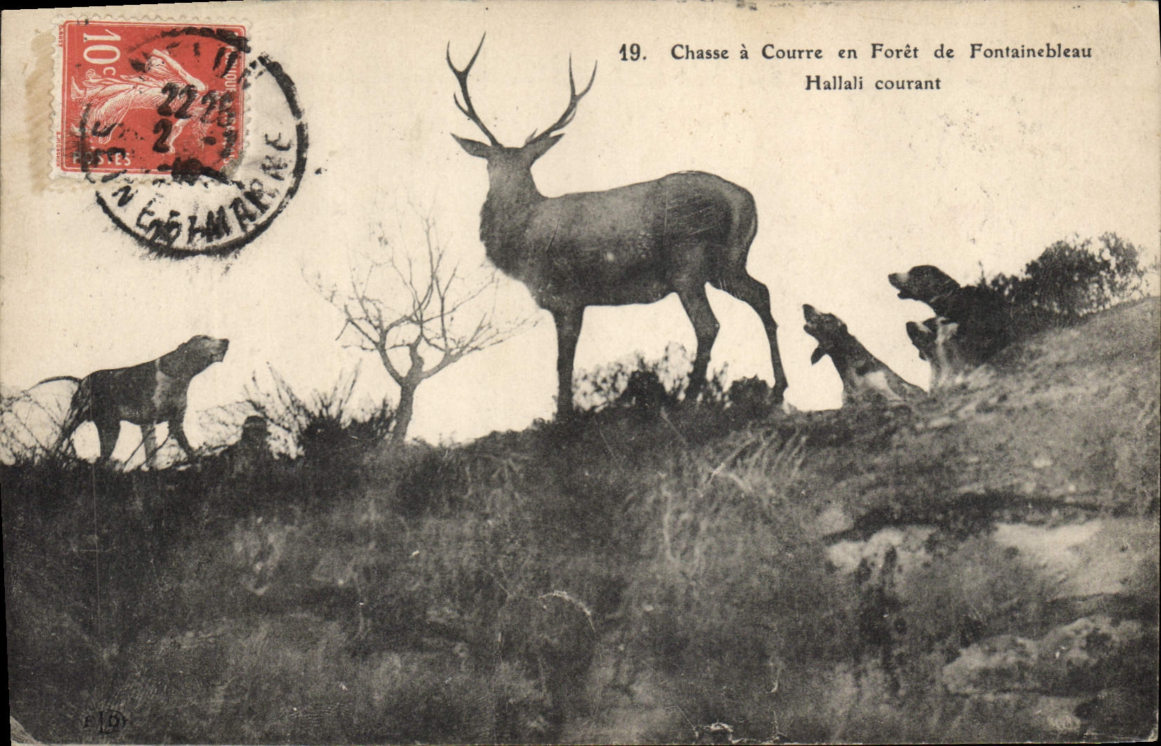 CPA Chasse a courre en Foret de Fontainebleau Hallali courant Chiens Chien