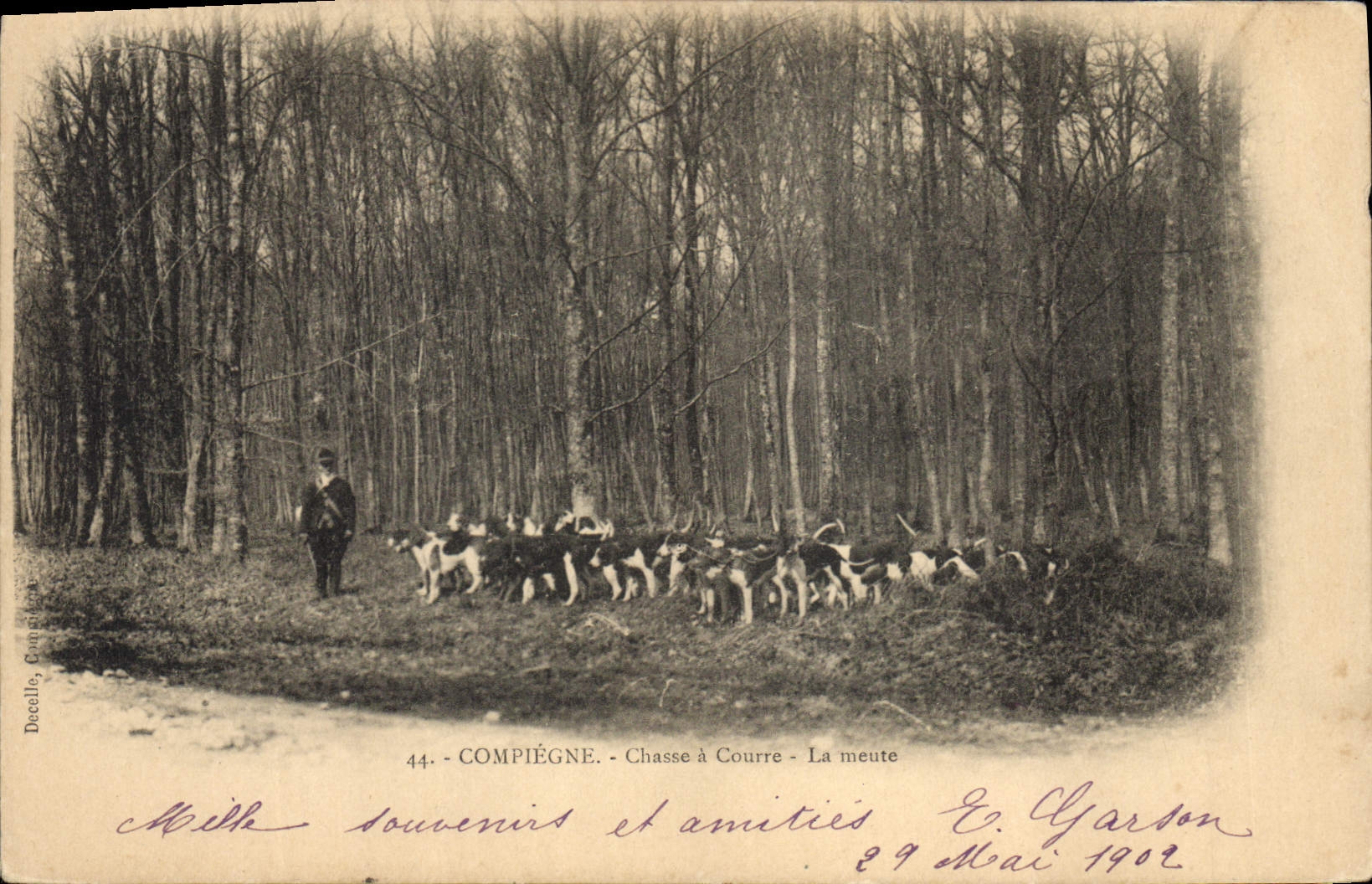 CPA Chasse a courre La meute Compiegne Chiens Chien