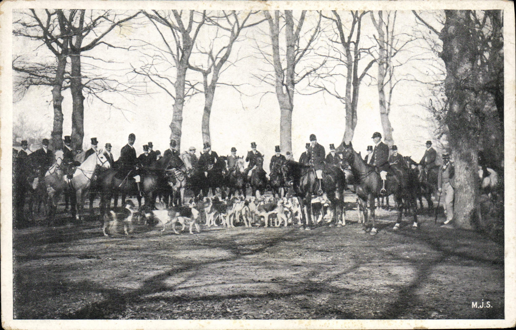 CPA Chasse a courre Chiens Chien
