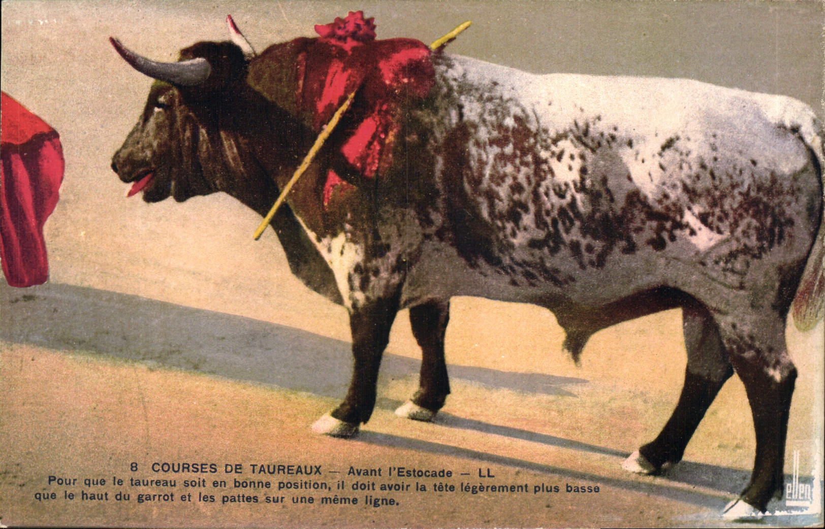 CPA Corrida Course de taureaux Avant l'estocade