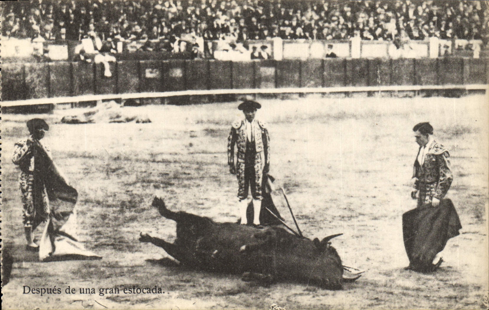 CPA Corrida Course de taureaux Despues de une gran estocada