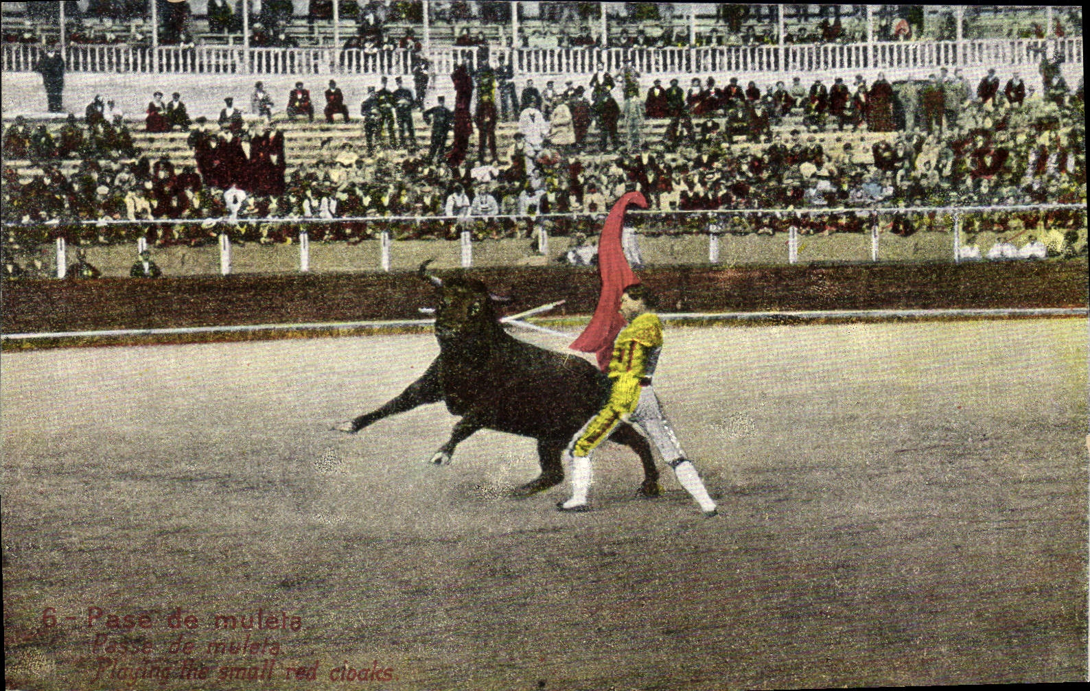 CPA Corrida Course de taureaux Pase de muleta