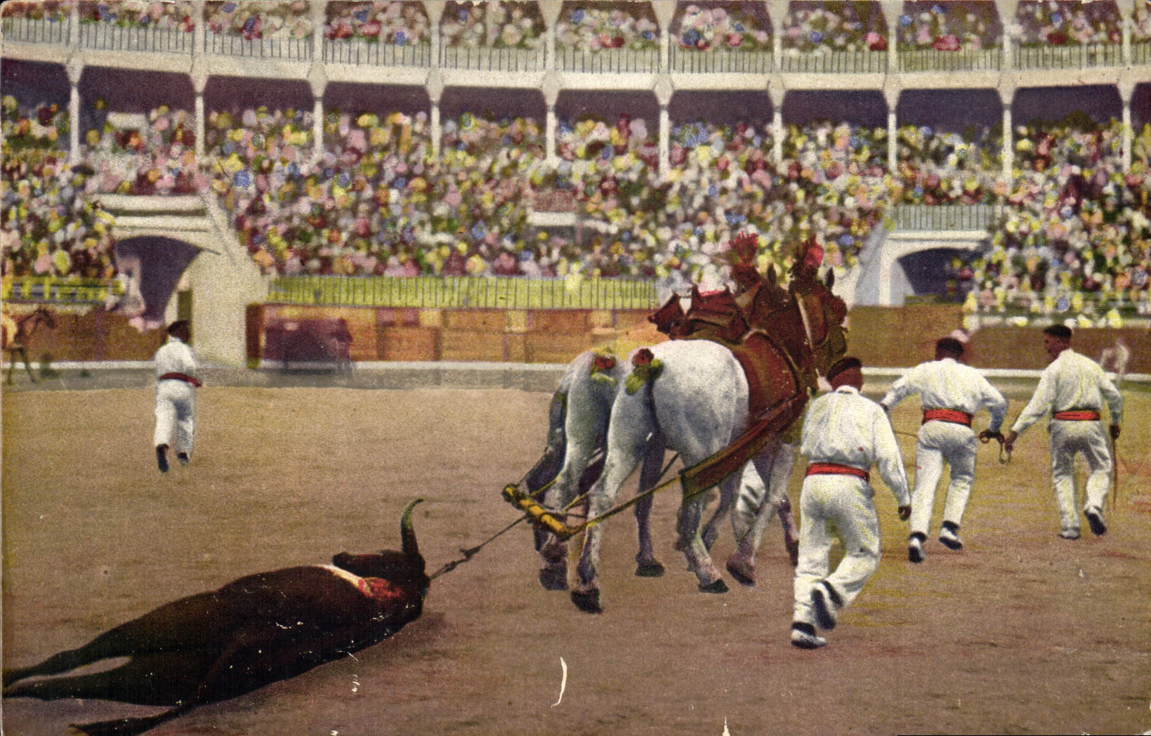 CPA Corrida Course de taureaux L'arrastre