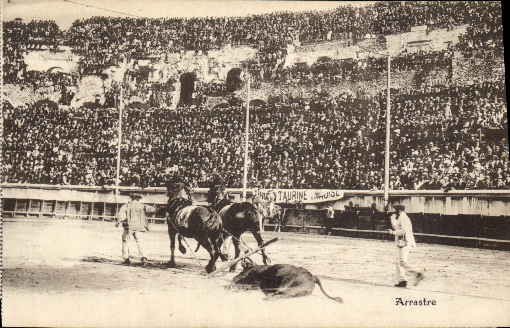 CPA Corrida Course de taureaux L'arrastre