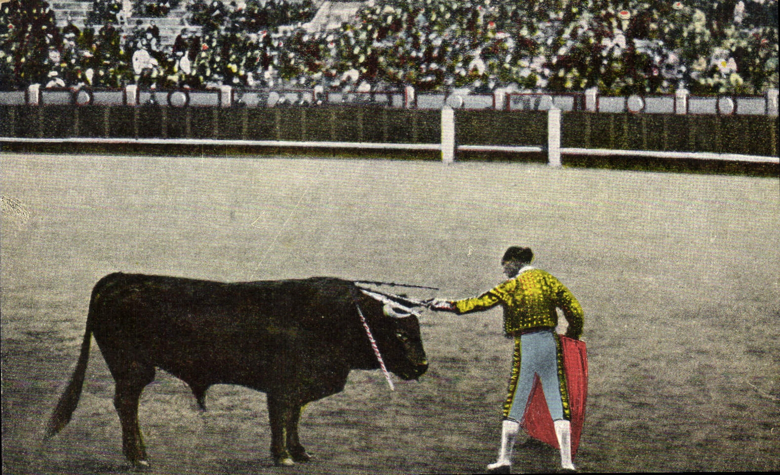 CPA Corrida Course de taureaux 