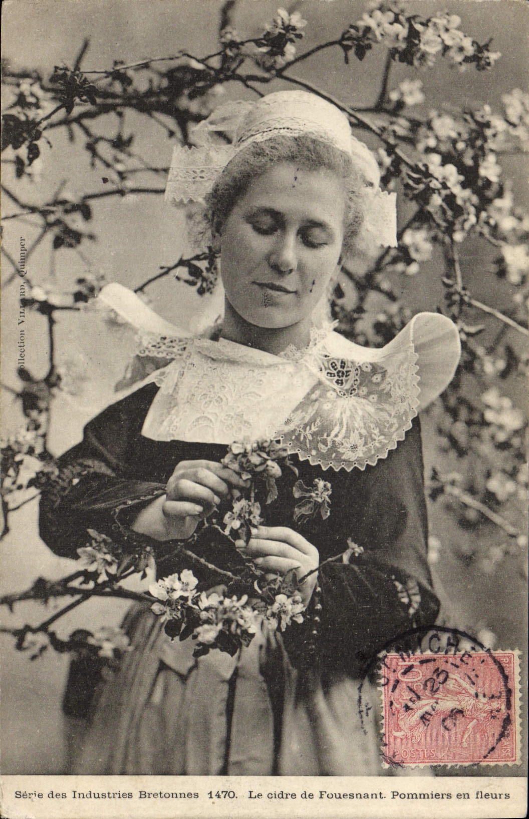 CPA Folklore Le cidre de Fouesnant Pommiers en fleurs 
