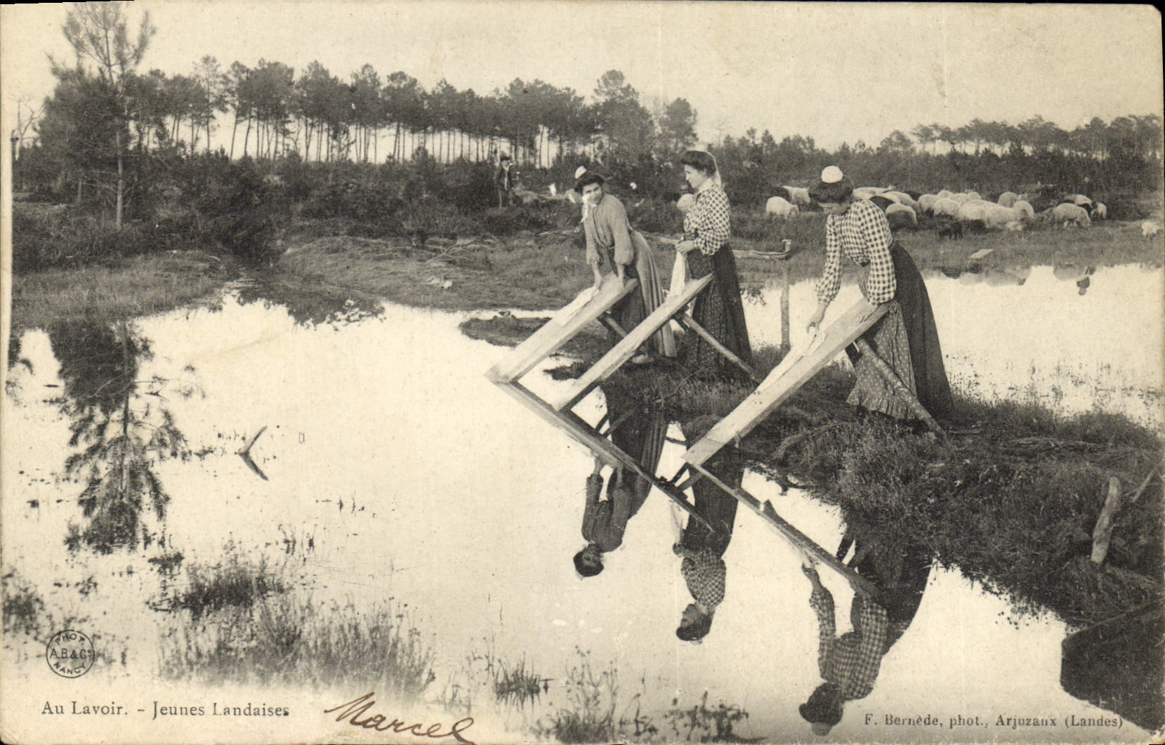 Vintage Postcard With the laundrette Young people from the Landes Washerwomen Laundrette