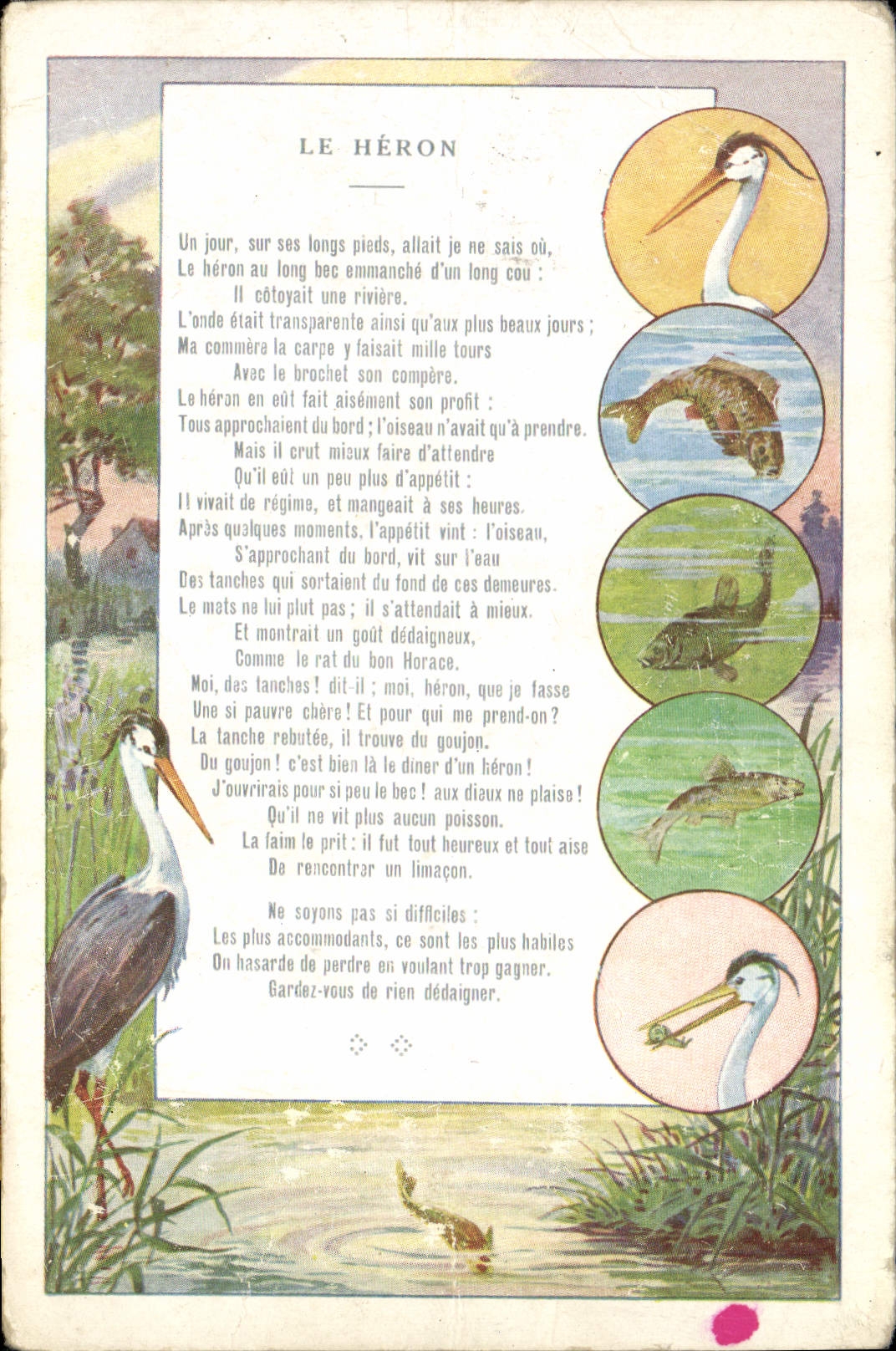 CPA Fantaisie Illustrateur Le Heron Talon Le Gaulois 