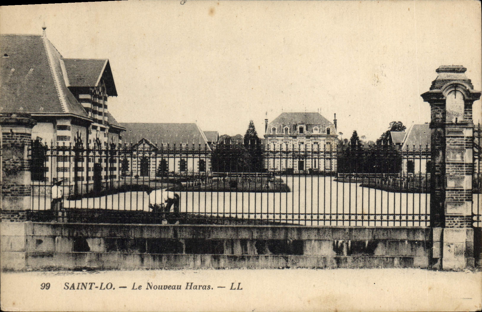 CPA Cheval Chevaux Hippisme Saint Lo Le nouveau haras