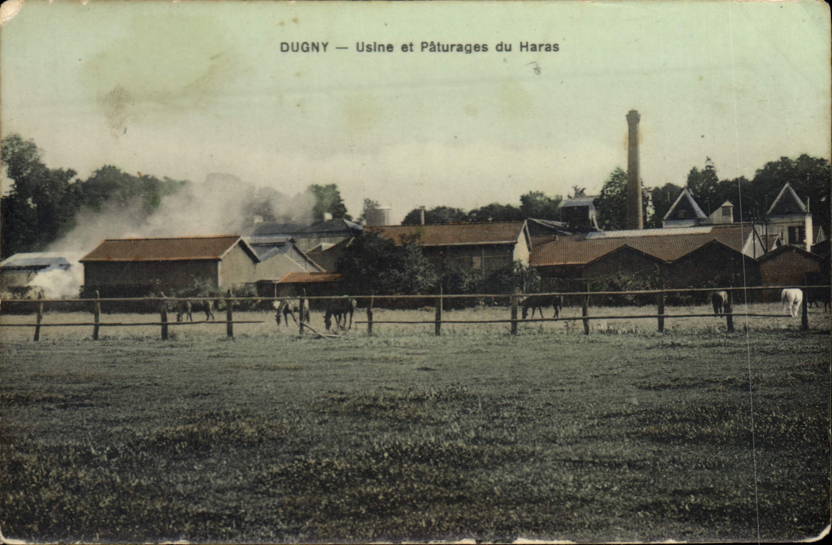 CPA Cheval Chevaux Hippisme Dugny Usine et paturages du haras