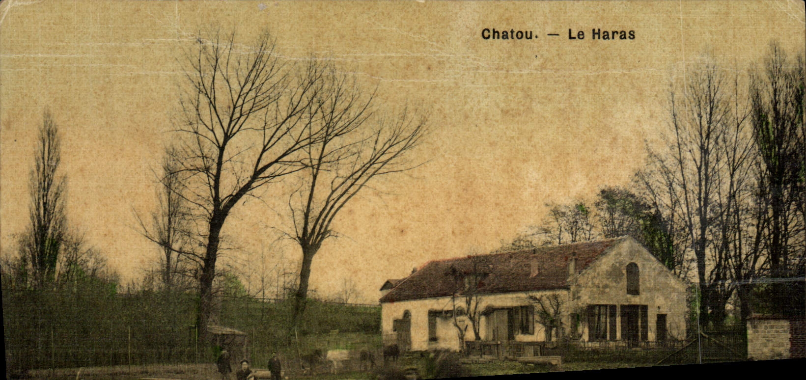 Postal Caballo Caballos Hípica Chatou la remonta (tarjeta toilee)