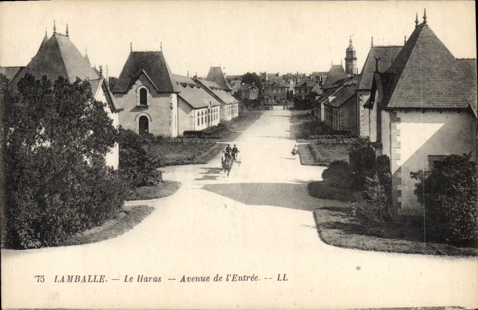 CPA Cheval Chevaux Hippisme Lamballe Le haras Avenue de l'entree