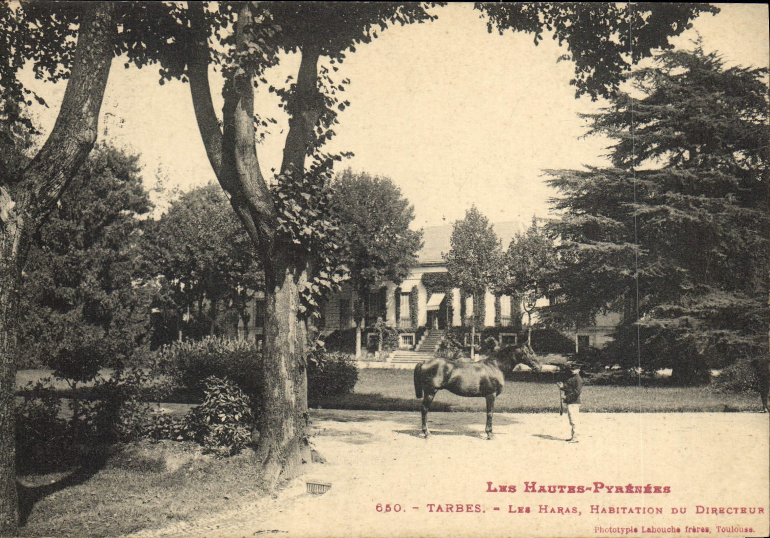 CPA Cheval Chevaux Hippisme Tarbes Les haras Habitation de direction