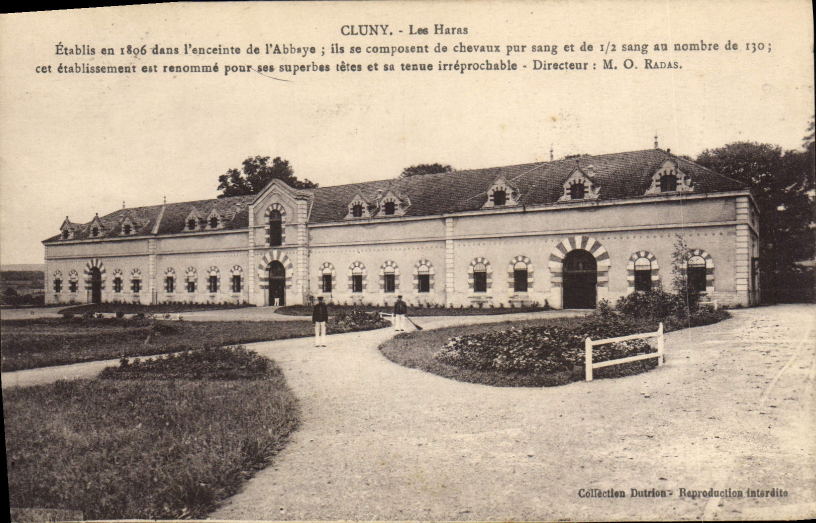 Postal Caballo Caballos Hípica Cluny las remontas