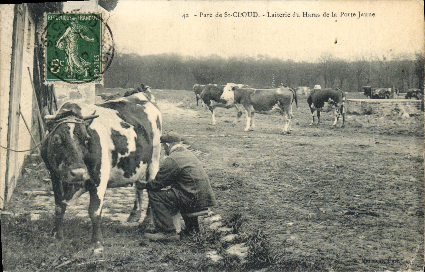CPA Cheval Chevaux Hippisme Parc de St Cloud Laiterie du haras de la Porte Jaune Vache TOP
