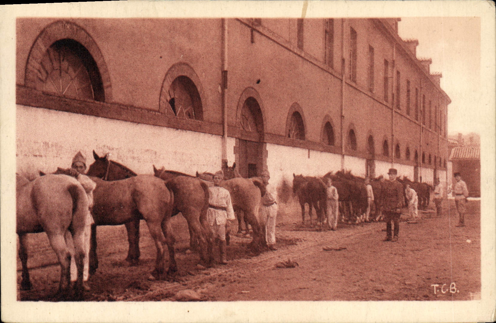 Postal Caballo Caballos Hípica Toulouse 117eme de artillería la limpieza